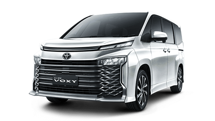 voxy